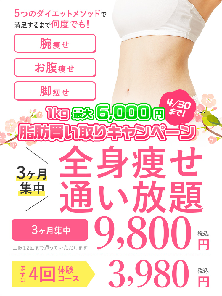 痩身エステサロン Shanti（シャンティ）｜結果重視のダイエット